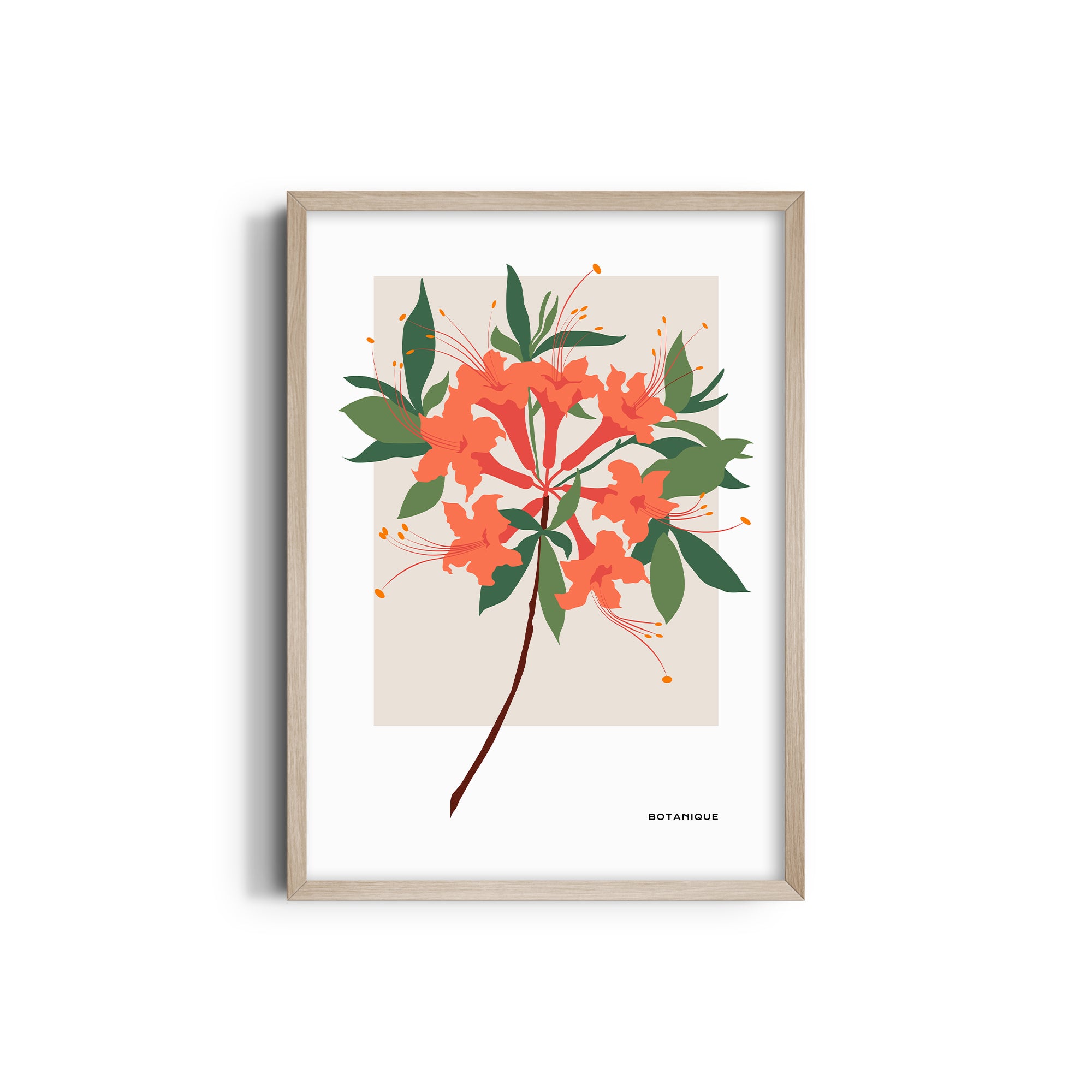 Bloom Chronicles Botanical Modern Wall Art