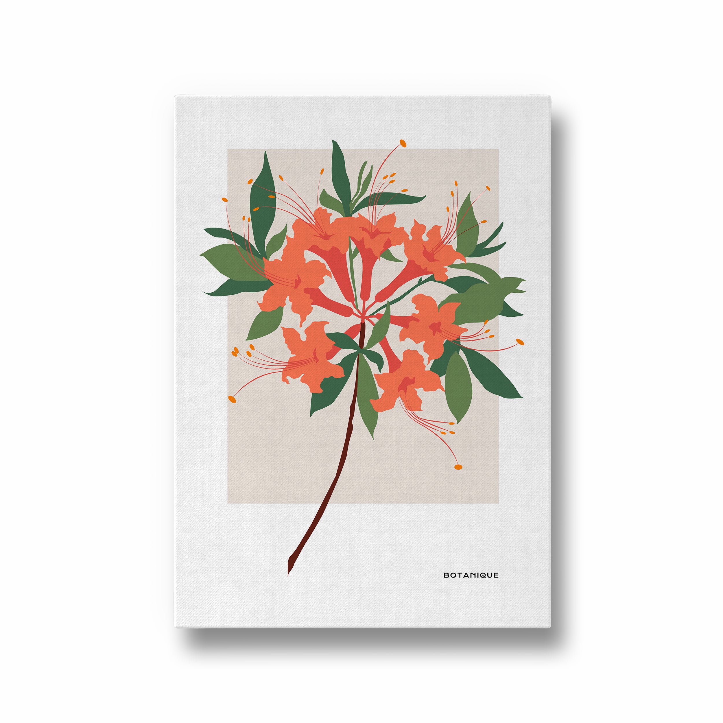 Bloom Chronicles Botanical Modern Wall Art