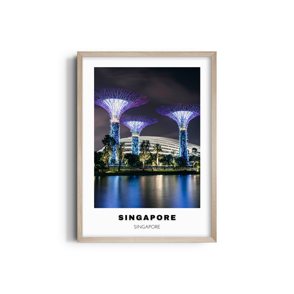 Singapore Colored City Art