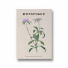 Floral Sanctuary Botanical Modern Wall Art