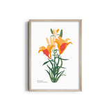 Petals in Pastel Botanical Modern Wall Art