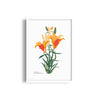 Petals in Pastel Botanical Modern Wall Art