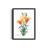 Petals in Pastel Botanical Modern Wall Art