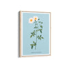 Flora Fusion Botanical Modern Wall Art
