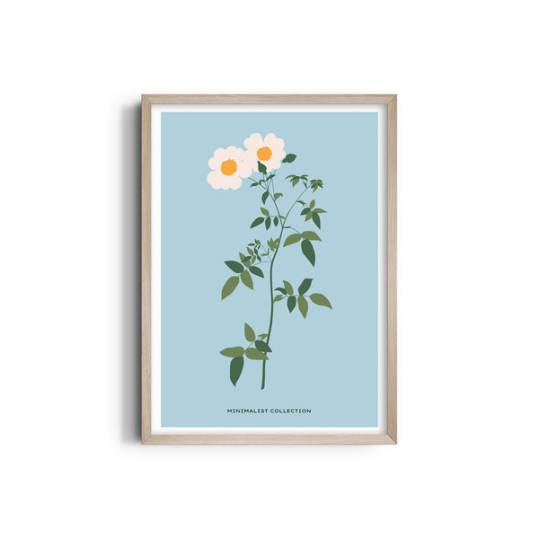 Flora Fusion Botanical Modern Wall Art