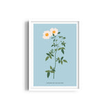 Flora Fusion Botanical Modern Wall Art