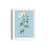 Flora Fusion Botanical Modern Wall Art