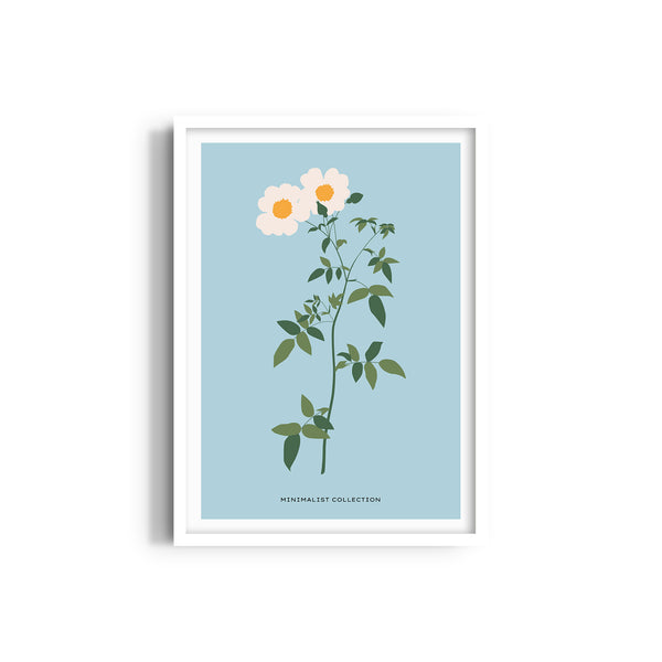 Flora Fusion Botanical Modern Wall Art
