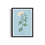 Flora Fusion Botanical Modern Wall Art