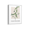 Bloom Symphony Botanical Modern Wall Art