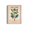 Oak Tree Botanical Modern Wall Art