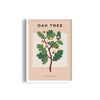 Oak Tree Botanical Modern Wall Art