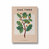 Oak Tree Botanical Modern Wall Art