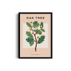 Oak Tree Botanical Modern Wall Art