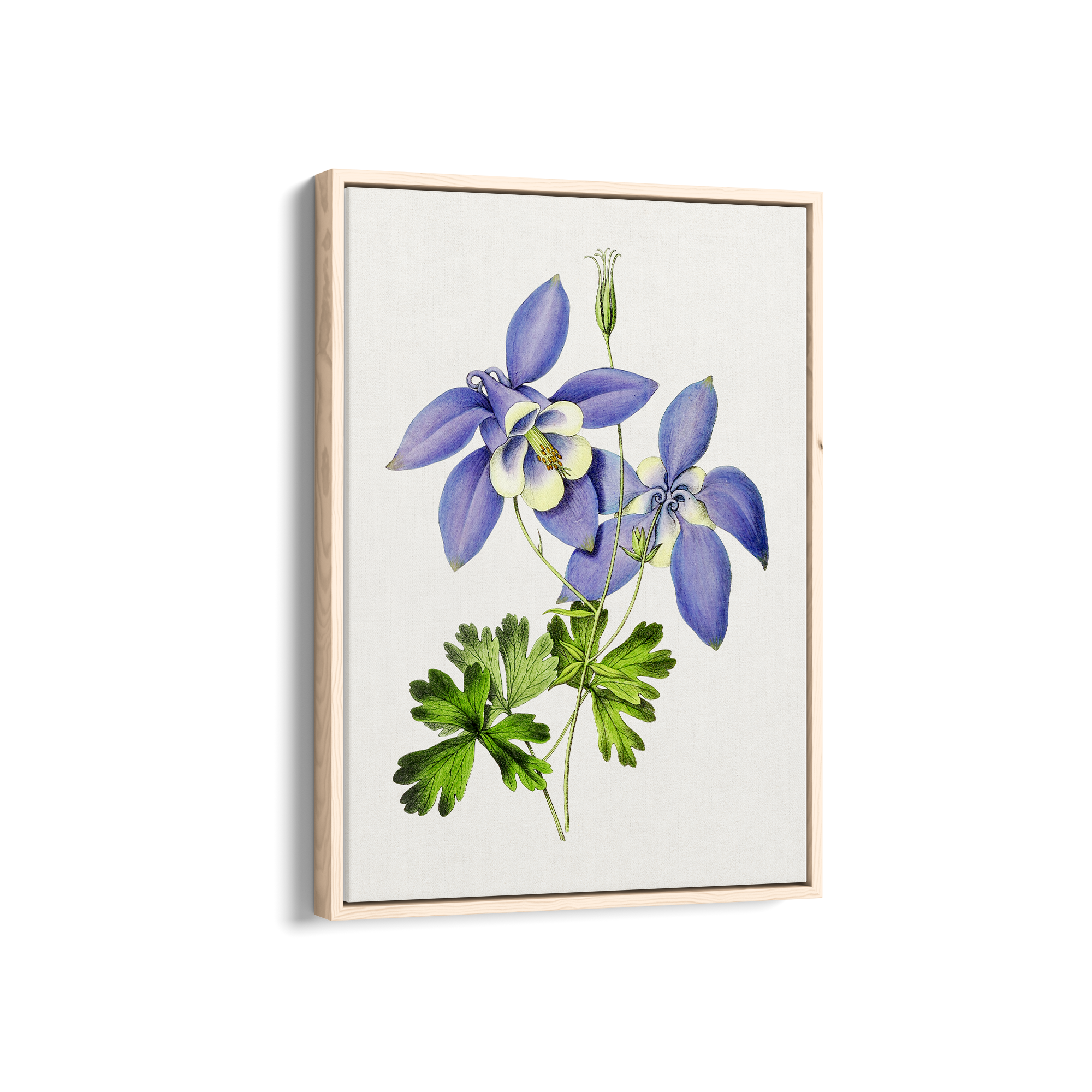 Owosie Botanical Wall Art