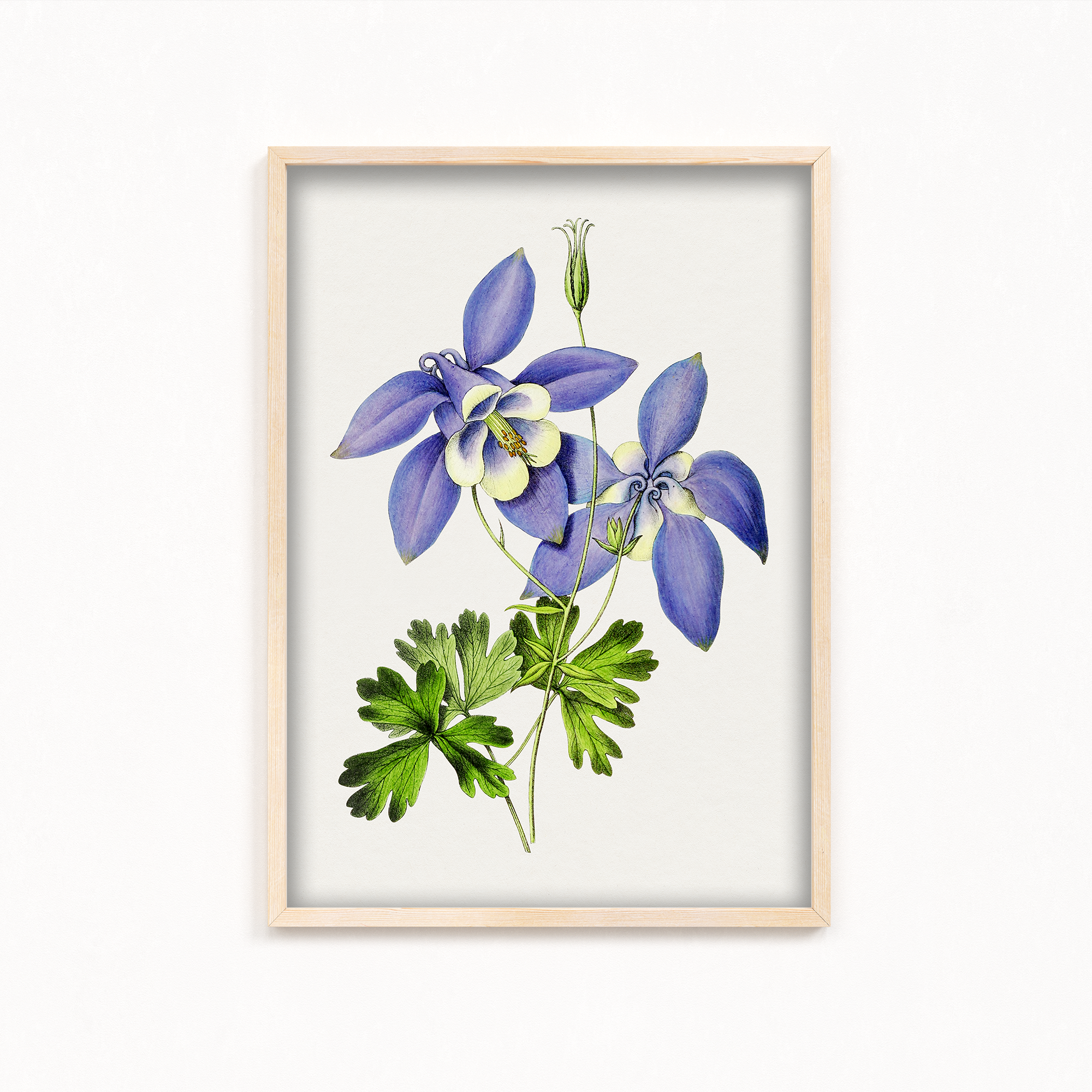 Owosie Botanical Wall Art