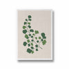Blossom Ballet Botanical Modern Wall Art
