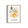 Ylang Ylang Botanical Modern Wall Art