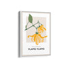 Ylang Ylang Botanical Modern Wall Art