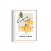 Ylang Ylang Botanical Modern Wall Art