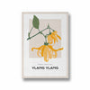 Ylang Ylang Botanical Modern Wall Art