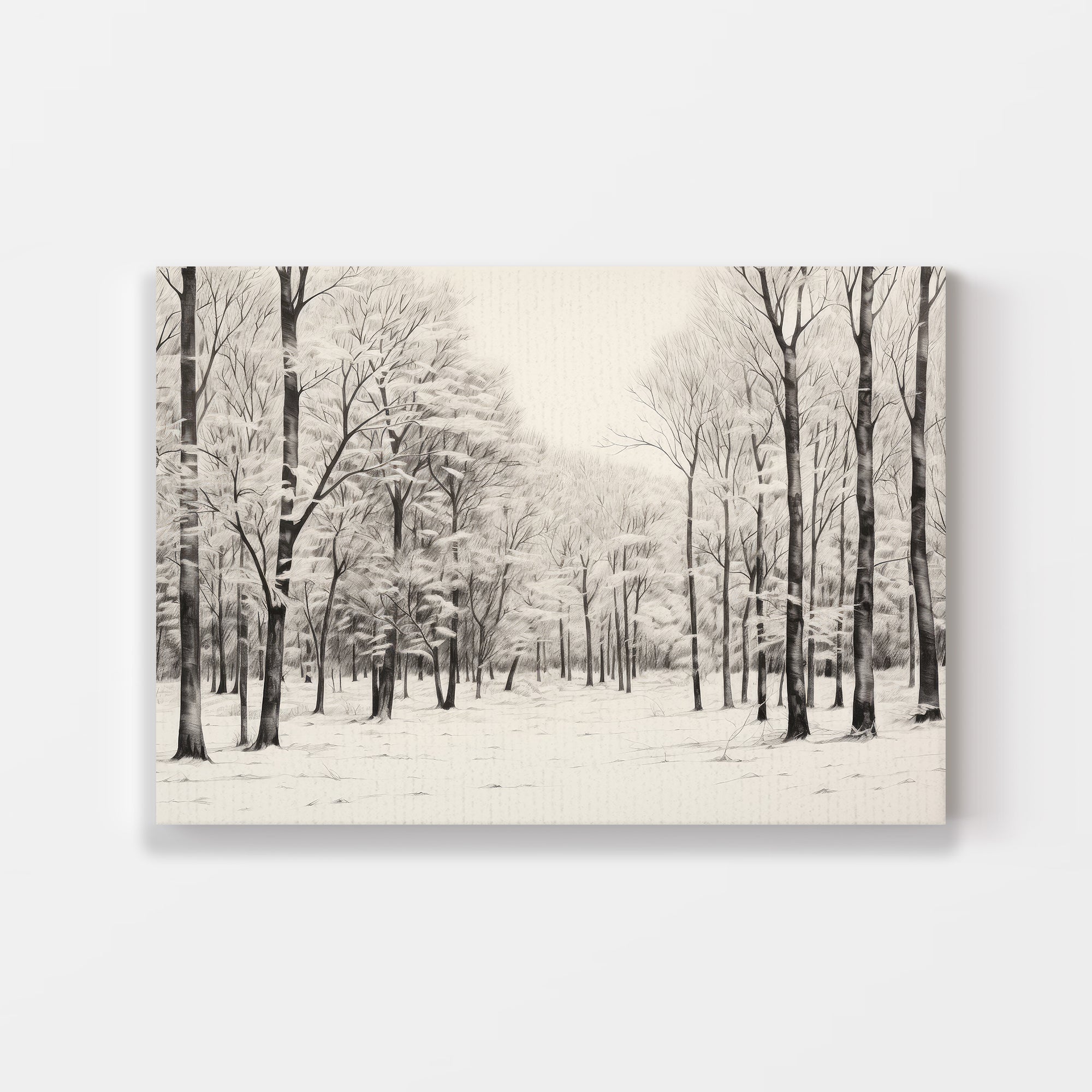 Shadowed Wilderness Wall Art