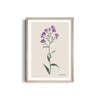 Floral Flourish Botanical Modern Wall Art