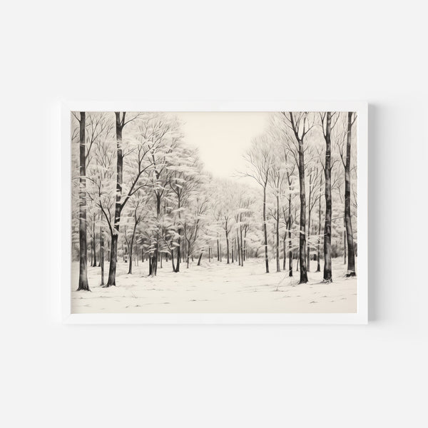 Shadowed Wilderness Wall Art