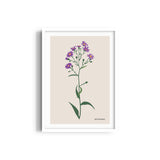 Floral Flourish Botanical Modern Wall Art