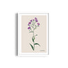 Floral Flourish Botanical Modern Wall Art