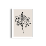 Ballet of Blooms Dancing Wall Art