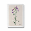 Floral Flourish Botanical Modern Wall Art