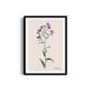 Floral Flourish Botanical Modern Wall Art