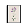 Floral Flourish Botanical Modern Wall Art