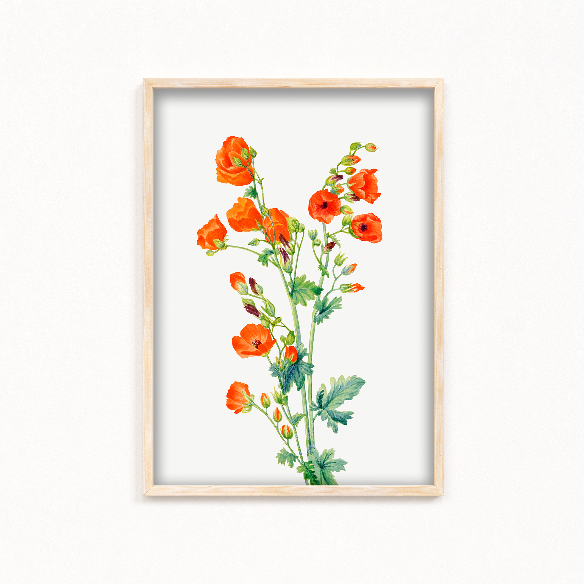 Opradac Botanical Wall Art