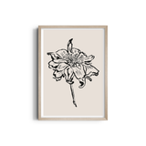 Ballet of Blooms Dancing Wall Art
