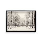 Shadowed Wilderness Wall Art
