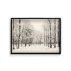 Shadowed Wilderness Wall Art