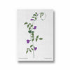 Naturistic Dreams Botanical Modern Wall Art