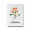 Nature's Palette Botanical Modern Wall Art