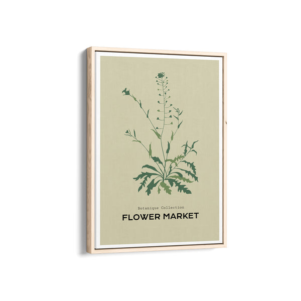 Garden of Fine Art Botanical Modern Wall Art