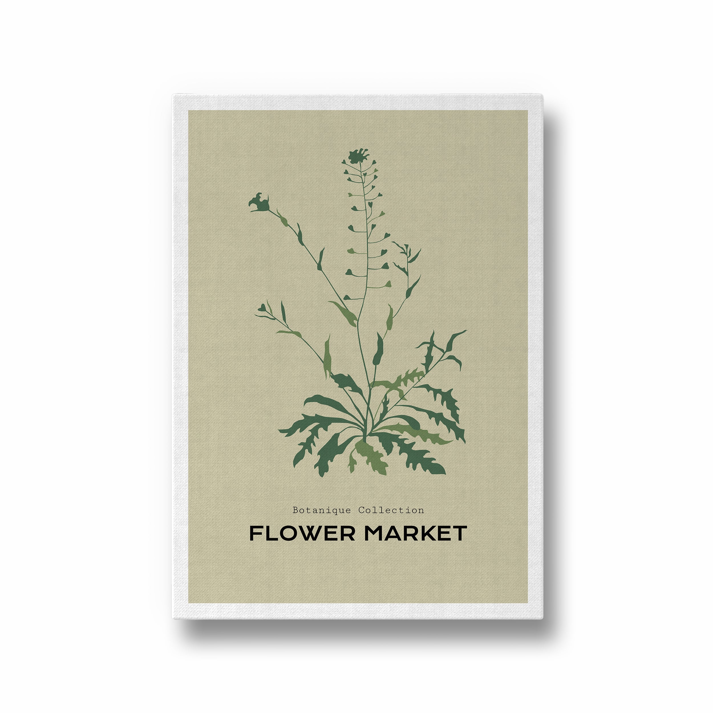 Garden of Fine Art Botanical Modern Wall Art