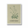 Garden of Fine Art Botanical Modern Wall Art