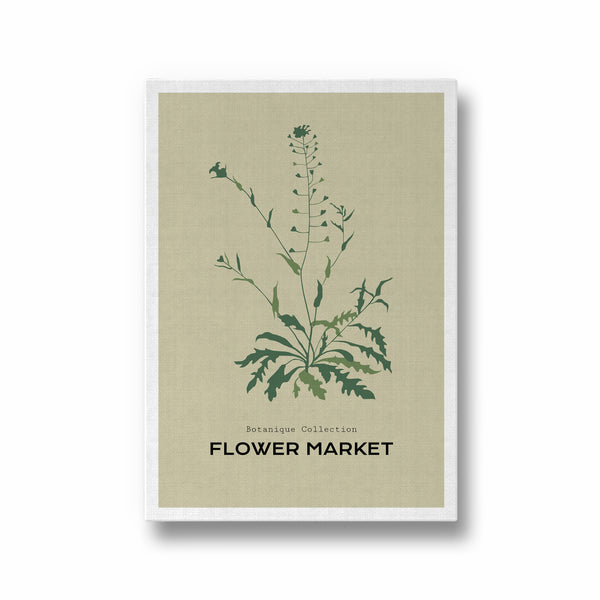 Garden of Fine Art Botanical Modern Wall Art