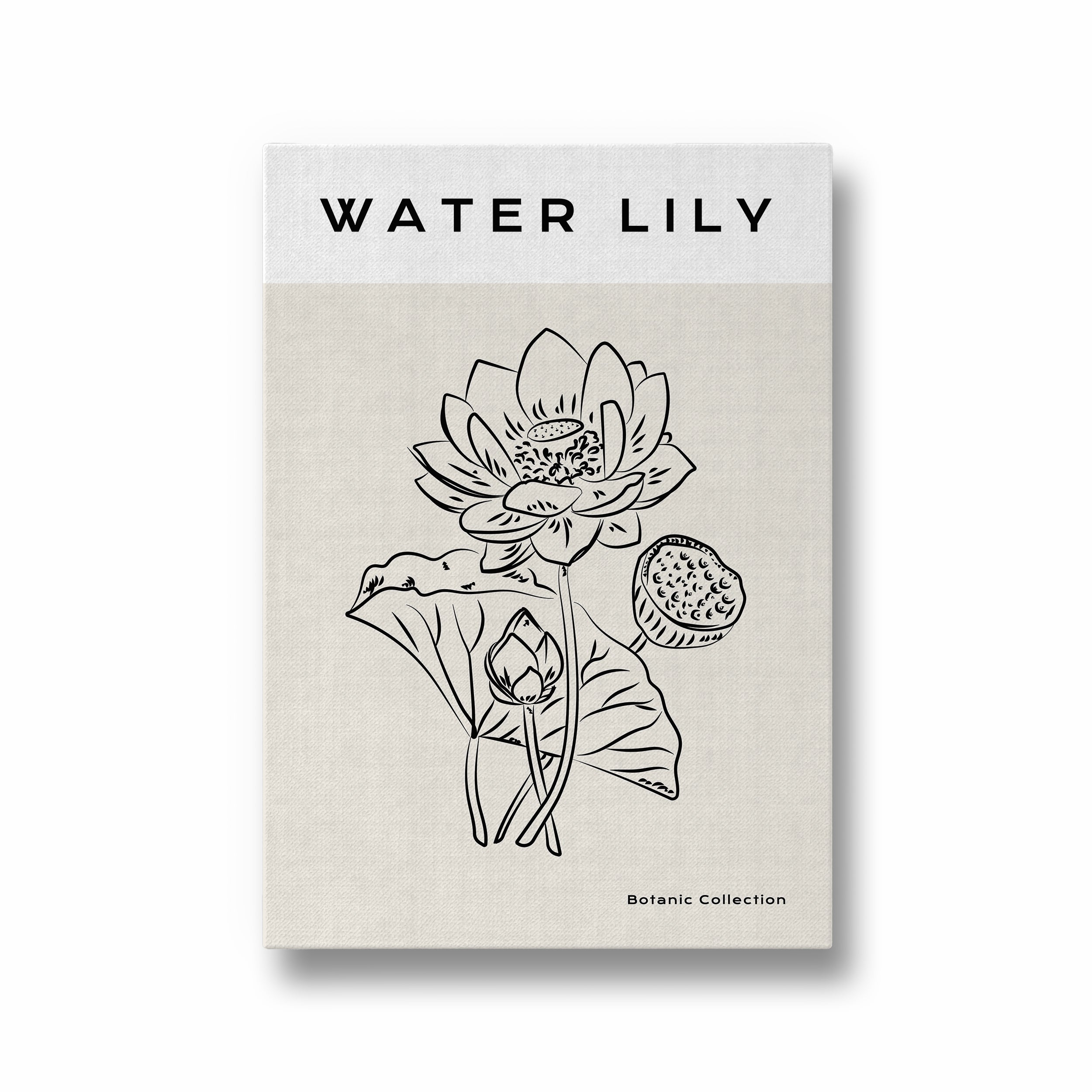 Water Lily Modern Line Wall Art