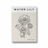 Water Lily Modern Line Wall Art