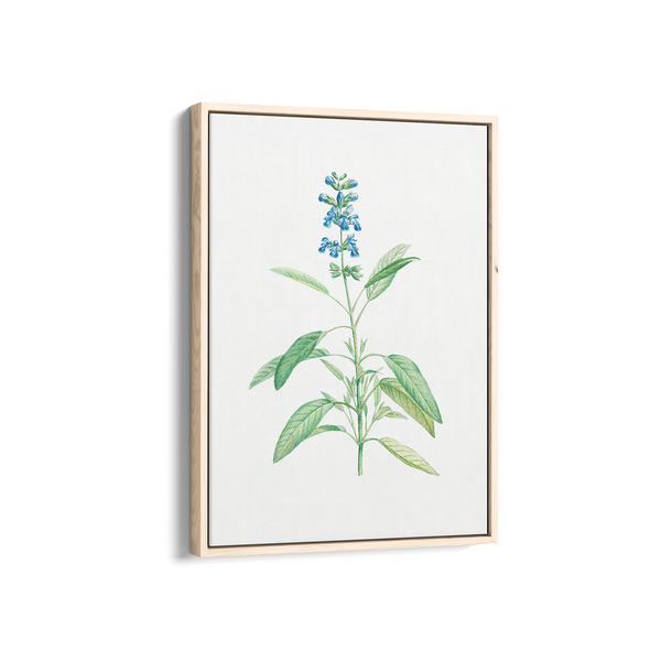 Dragon Tea Botanical Wall Art