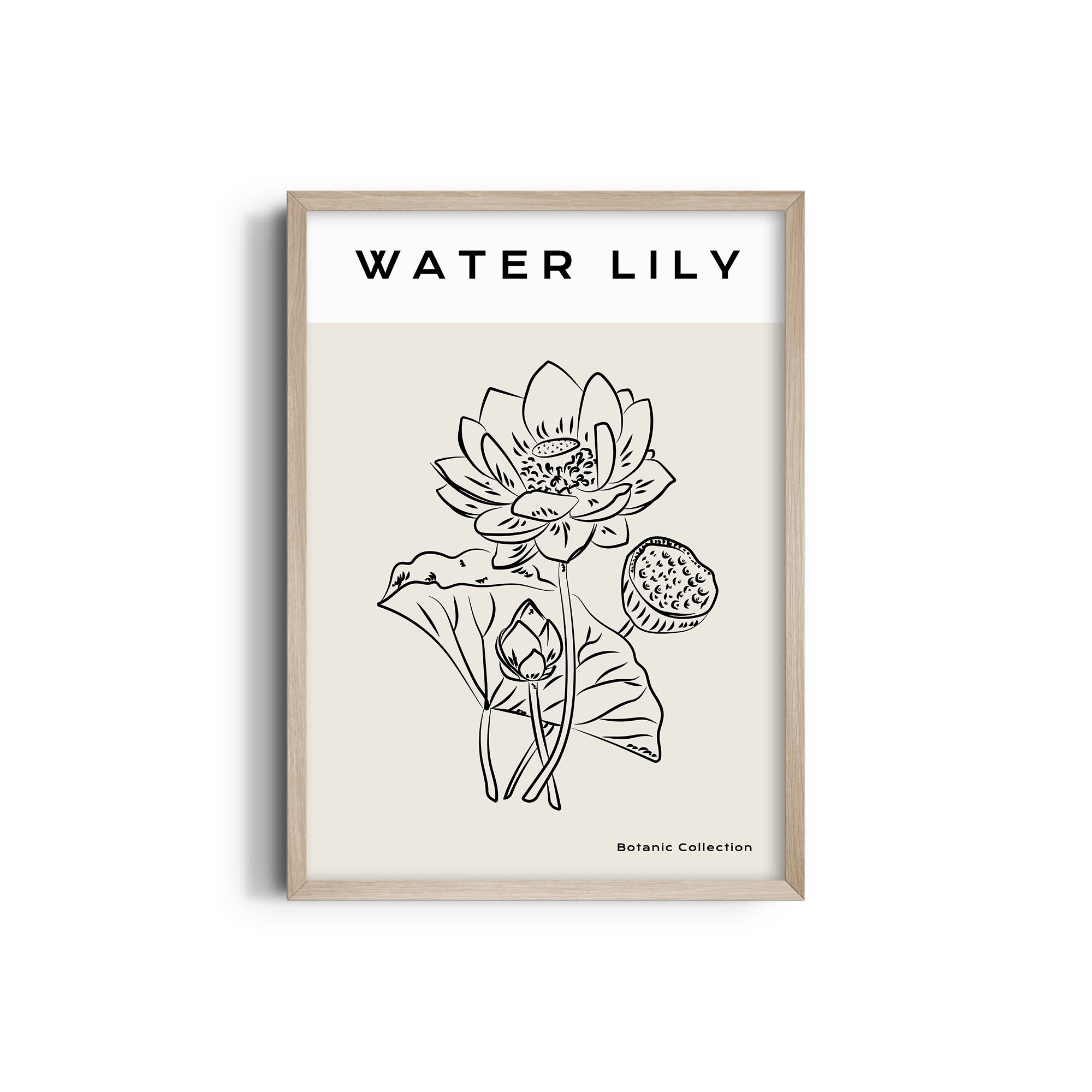Water Lily Modern Line Wall Art