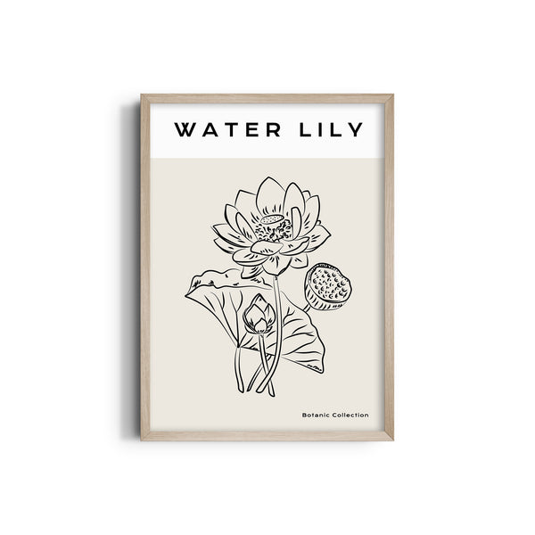 Water Lily Modern Line Wall Art