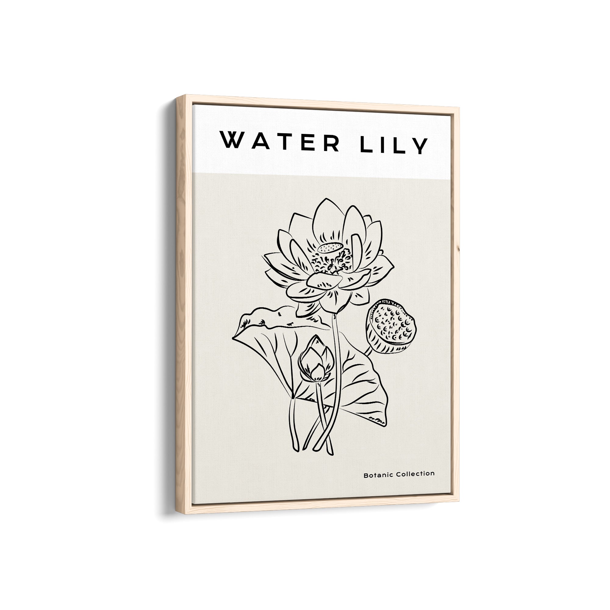 Water Lily Modern Line Wall Art